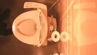Japanese Voyeur Toilet 15322418