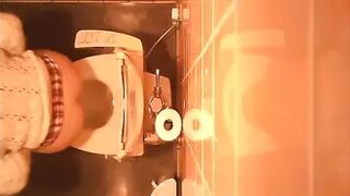 Japanese Voyeur Toilet 15322384