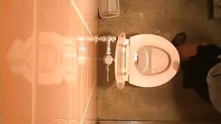 Japanese Voyeur Toilet 15320519