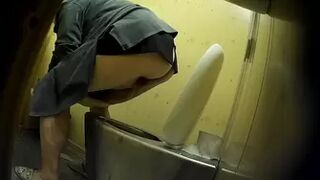 PublictoiletSL74 vol 220