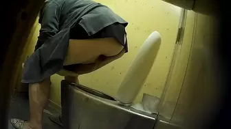 PublictoiletSL74 vol 220