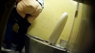 PublictoiletSL74 vol 219