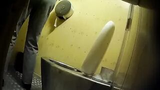PublictoiletSL74 vol 218