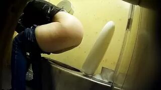 PublictoiletSL74 vol 216