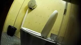 PublictoiletSL74 vol 215