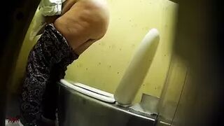 PublictoiletSL74 vol 212