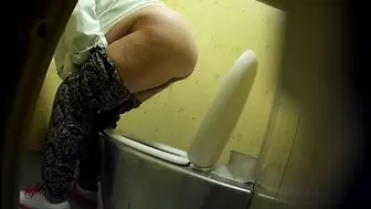 PublictoiletSL74 vol 212