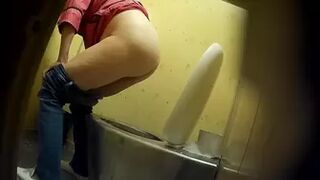 PublictoiletSL74 vol 210