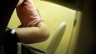 PublictoiletSL74 vol 201