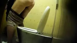 PublictoiletSL74 vol 197