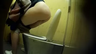 PublictoiletSL74 vol 197