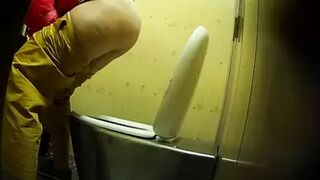 PublictoiletSL74 vol 196