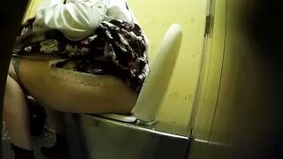 PublictoiletSL74 vol 194