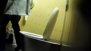 PublictoiletSL74 vol 185