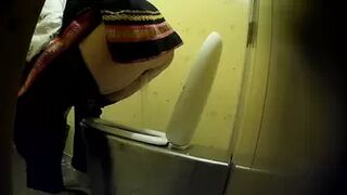 PublictoiletSL74 vol 178