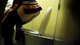 PublictoiletSL74 vol 178