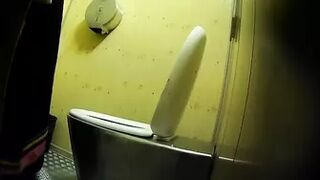 PublictoiletSL74 vol 178