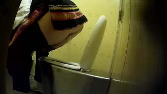 PublictoiletSL74 vol 178