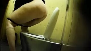 PublictoiletSL74 vol 177