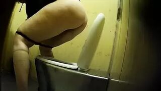 PublictoiletSL74 vol 177