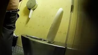 PublictoiletSL74 vol 168