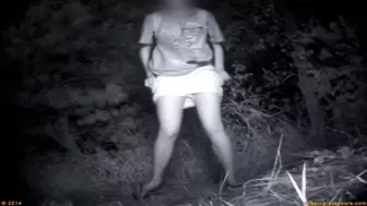 Rock Festival Summary 0123