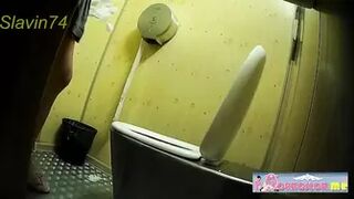 PublictoiletSL74 vol 88