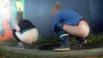 Rock Festival Summary 0121