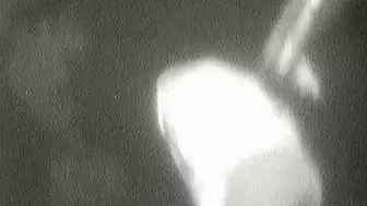 Rock Festival Summary 0035