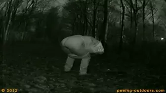 New Years Eve Summary 14