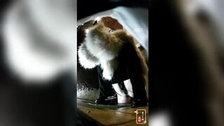 China Toilet Voyeur 2094
