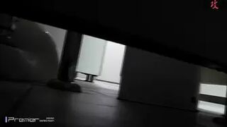 Asian Toilets 64