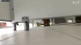 Asian Toilets 43