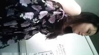 Asian Toilets 04