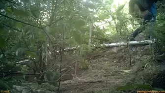 Beer Festival Summary 0042