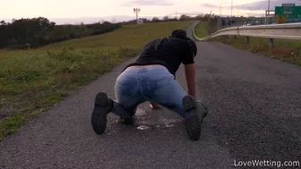 Vanda - Highway Star II