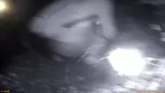 Beer Festival Summary 0049