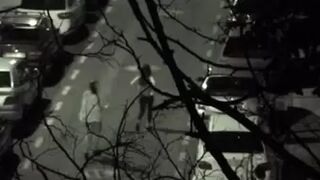 The Galician Gotta 001