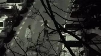 The Galician Gotta 001