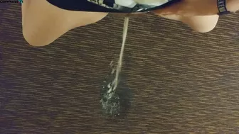 Candiecane - Hotel public hallway carpet pee