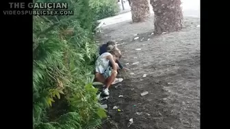 The Galician Gotta 067