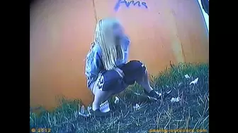 Rock Festival Summary 0048