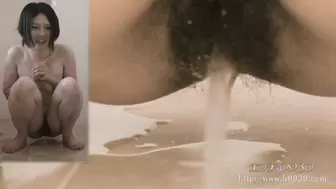 Piddle 39 (h0930.com)