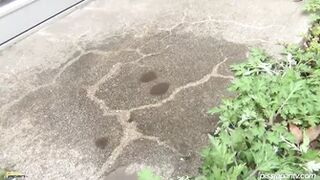 Puddlin' Piss!