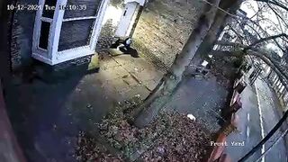 Public Voyeur Pissing Compilation 03