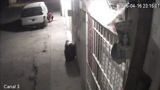 Public Voyeur Pissing Compilation 04