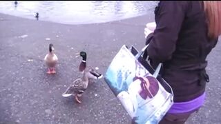 Public Wetting in the Park