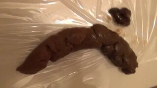 The girl who sells poop