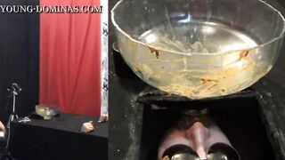 Black Box Poop Receiver Part 4