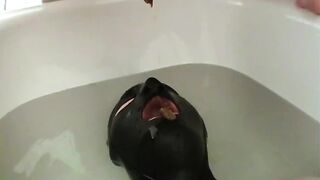 Scatqueens-Berlin - Toilet Slave filled up with Shit